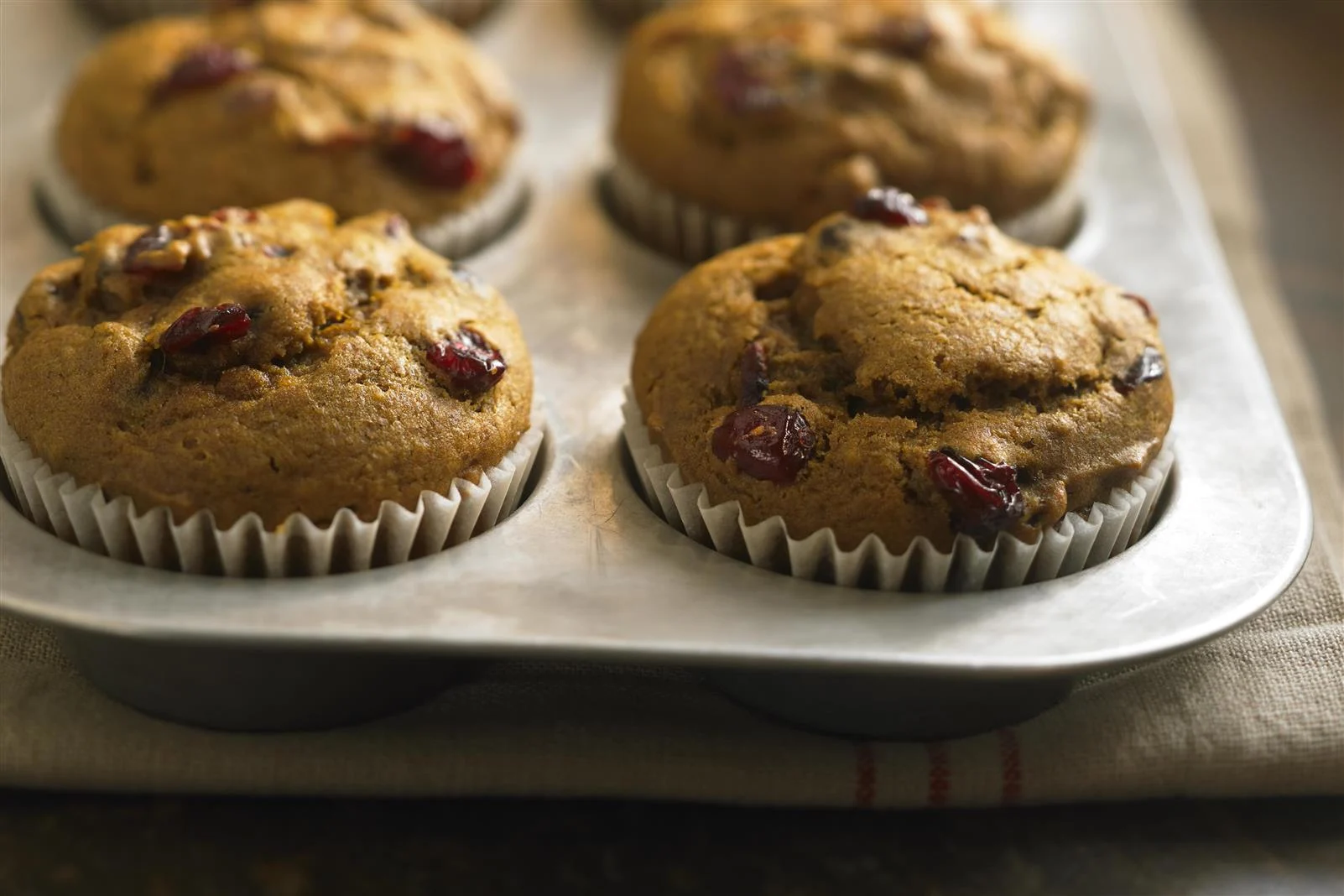 Cranberry Spice Muffins