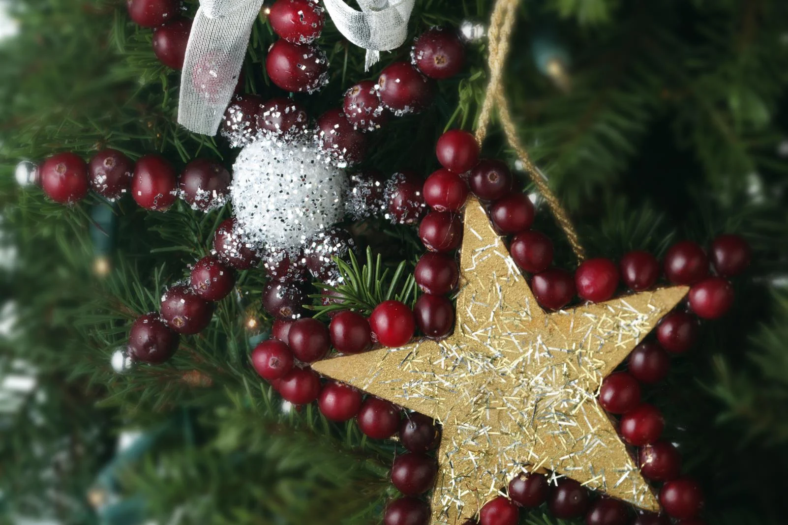 Cranberry Star Ornament